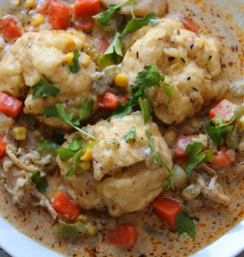 rusticbarnyardstewwithdumplings