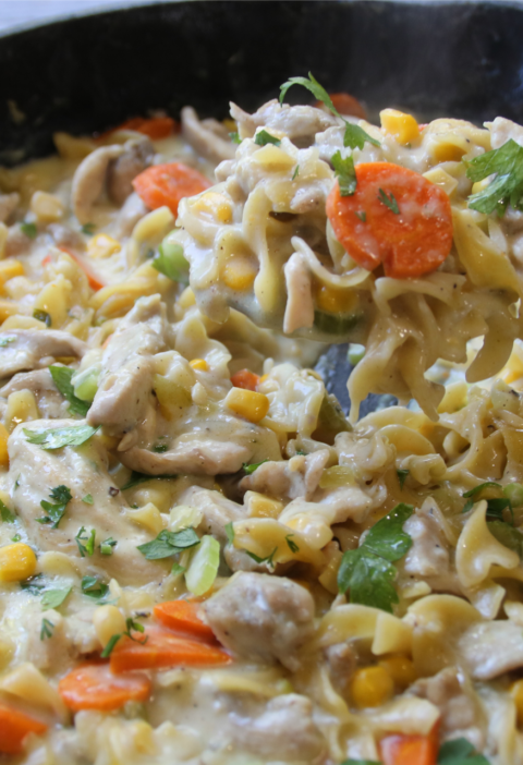 Creamy Chicken & Noodles Skillet served in a cast-iron skillet with tender chicken, wide egg noodles, carrots, corn, and rich homemade gravy.